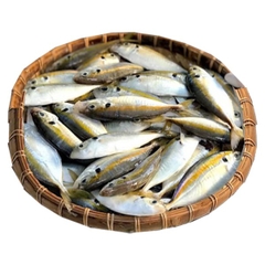 (281) 500g Cá Chỉ Vàng