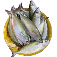 (280) 500g Cá Bạc Má Tươi