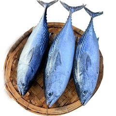 (291) 1Kg Cá Ngừ Bông (1-3 con)