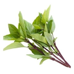 (56) 50g Húng Quế