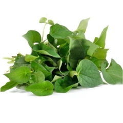 (45) 100g Diếp Cá