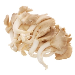 (79) 100g Nấm Bào Ngư