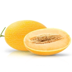 (504) 1.8kg Dưa Lưới Vàng 1 Trái