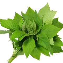 (67) 50g Kinh Giới