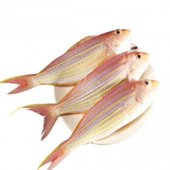 (289) 500g Cá Hường Tươi (4-5 con)