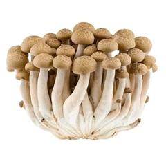 (85) Gói 100g Nấm Linh Chi Nâu