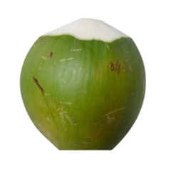 (506) 1 Trái Dừa Xiêm