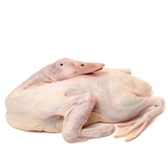 (420) 1 Vịt Nguyên Con Đăk Lăk Ngon Cấp Đông (1.3-1.5kg)