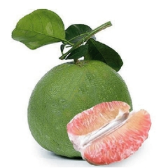 (515) 1.5kg Bưởi Da Xanh (1 Trái)