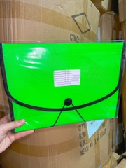 Bìa 12 ngăn nhãn card (1T*4H*15) màu xanh lá