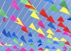 Cờ dây ngũ sắc (cờ nheo) 20cm*23cm (1T*350B*10 DÂY 8M*15C)