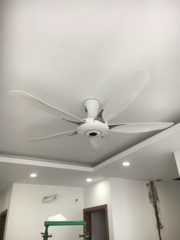 Quạt trần 5 cánh Panasonic F-60GDS