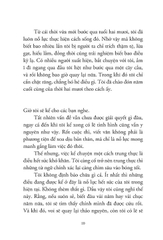 Lắng nghe gió hát