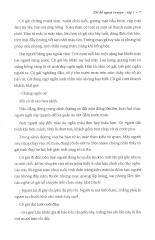 Phi Hồ ngoại truyện (Bộ 2 cuốn)