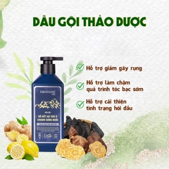 Dầu Gội 500ml Tặng Kèm Hộp Kem Xả Namnung Thảo Dược