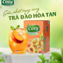 Trà Cozy Ice Tea hương đào hộp 240g - Trà túi lọc Cozy hương đào 50g