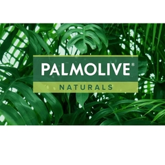 Dầu gội xả Palmolive Naturals dưỡng ẩm bổ sung cho tóc khô xơ 180ml/600ml
