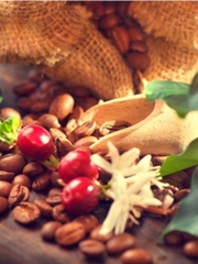 Cà phê Thiên Thanh Buôn Ma Thuộc 500g