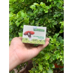 Kem Trắng Da BẠCH TIÊN Nhân Sâm-Nghệ Vàng