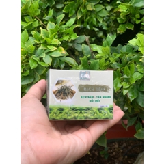 Kem Trắng Da BẠCH TIÊN Nhân Sâm-Nghệ Vàng