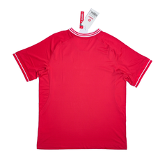 Vietnam Home Jersey 2024 – Red | Player Edition