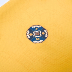 Vietnam Jersey Inspired by SEA Games 1995