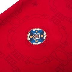 Vietnam Jersey Inspired by SEA Games 1995