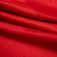 Vietnam National Team 2025 Home Jersey - (Player Edition)