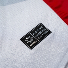 Vietnam National Team 2025 Away Jersey - (Player Edition)