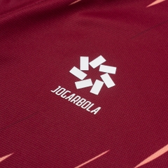 Vietnam National Team 2025 Polo Shirt