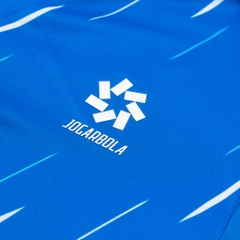 Vietnam National Team 2025 Polo Shirt