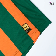 Binh Dinh FC 2024–2025 Official Jersey