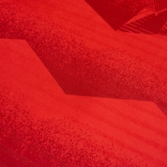 Vietnam National Team 2025 Home Jersey - (Fan Edition)