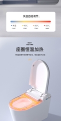 BỒN CẦU THÔNG MINH NV - 933