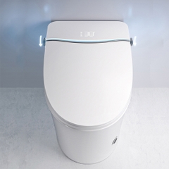 BỒN CẦU THÔNG MINH NV - 6945