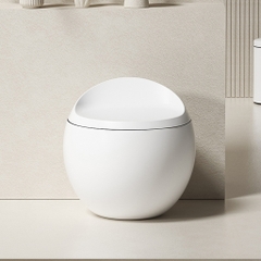 BỒN CẦU THÔNG MINH NV - 404