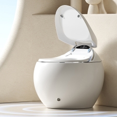 BỒN CẦU THÔNG MINH NV - 404