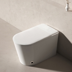 BỒN CẦU THÔNG MINH NV - 2710