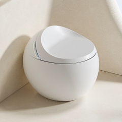 BỒN CẦU THÔNG MINH NV - 404