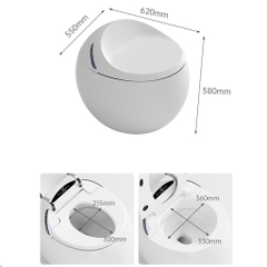 BỒN CẦU THÔNG MINH NV - 404