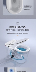 BỒN CẦU THÔNG MINH NV - 933