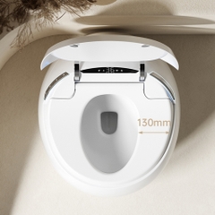 BỒN CẦU THÔNG MINH NV - 404