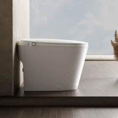 BỒN CẦU BÁN THÔNG MINH NV - 6809