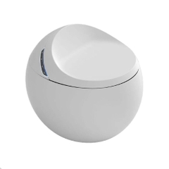 BỒN CẦU THÔNG MINH NV - 404