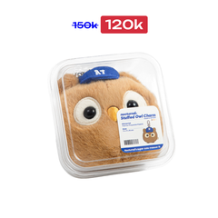 Stuffed Owl Charm