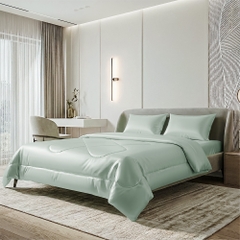 Bộ chăn ga gối 100% tencel ETS06