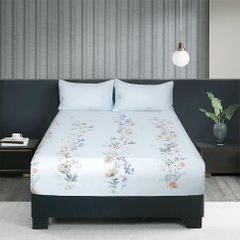 Bộ Ga Gối 100% Tencel 300T ETP03