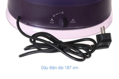 Bàn ủi hơi nước đứng Philips STE3160/30 2000W
