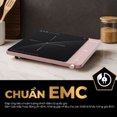 Bếp từ đơn FUJIHOME IC1207P 1900W