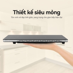 Bếp từ đơn FUJIHOME IC1391 2000W